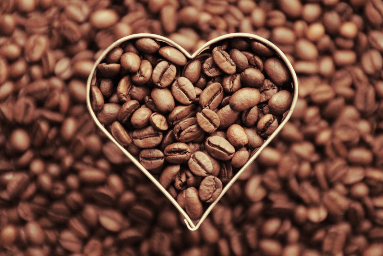 Understanding roast levels – Guide for coffee lovers