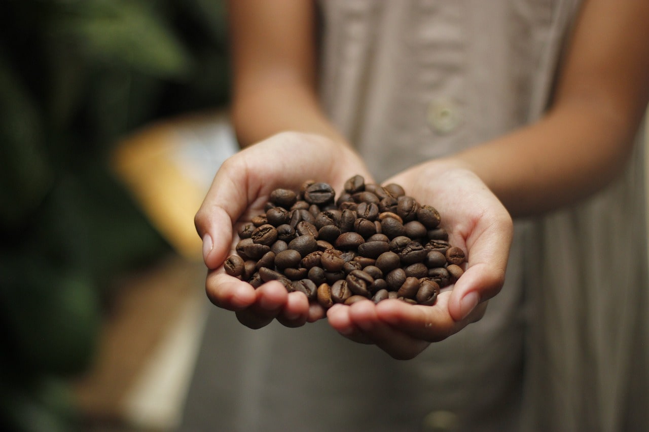 Mastering the roasting process – Tips and tricks