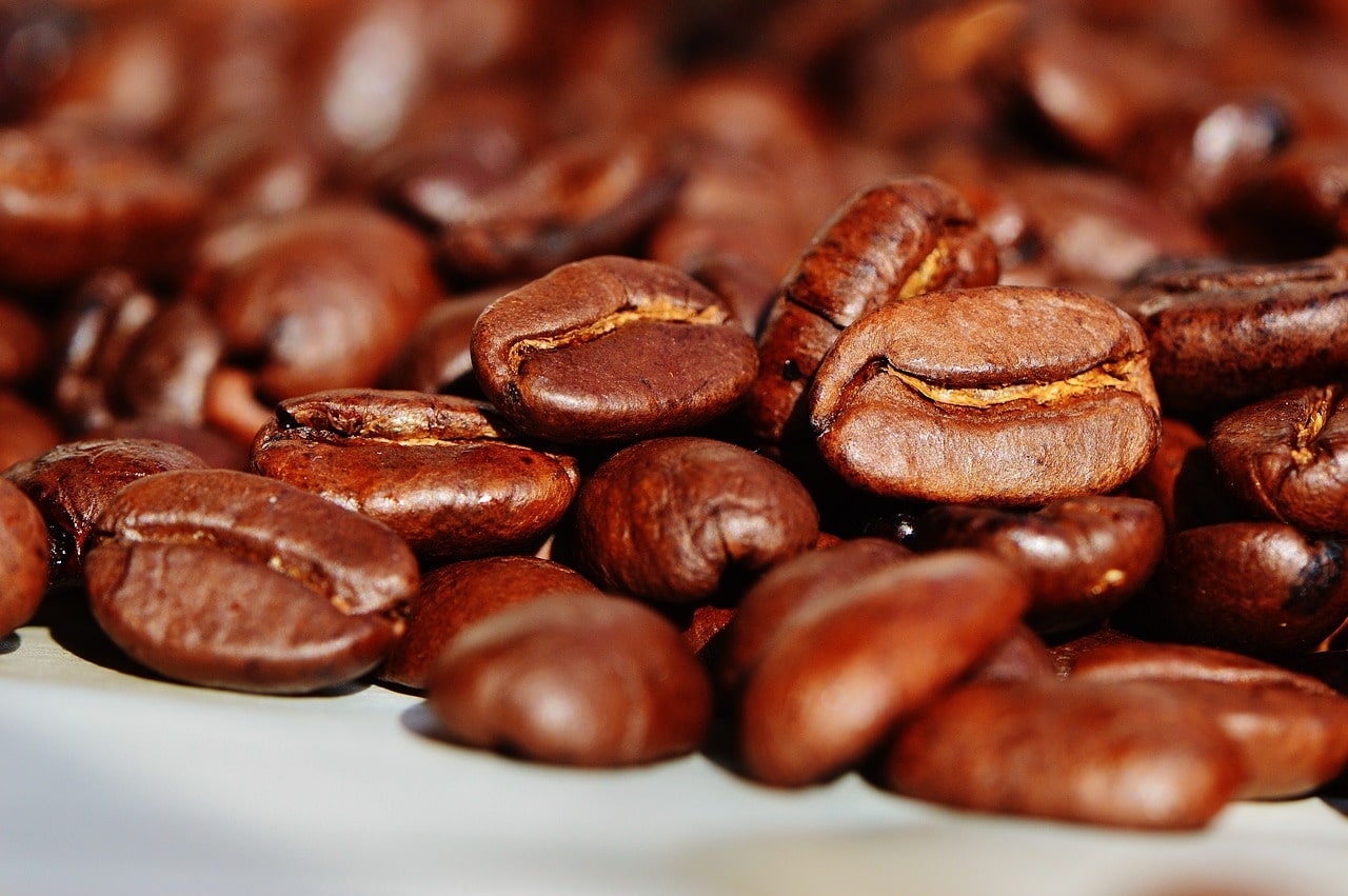 The art of coffee roasting – a comprehensive guide for B2B